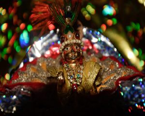Read more about the article Janmashtami 2021: Why should we keep peacock feathers at home?