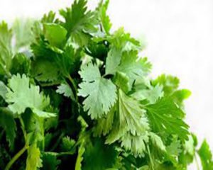 Read more about the article Tips & Tricks: How to store vegetables and herbs