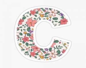 Read more about the article Know the personality and nature of a person’s name starting with the letter ‘C’